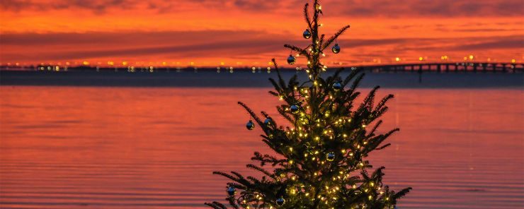 Our Story picture of Christmas tree