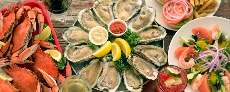 oysters on plate