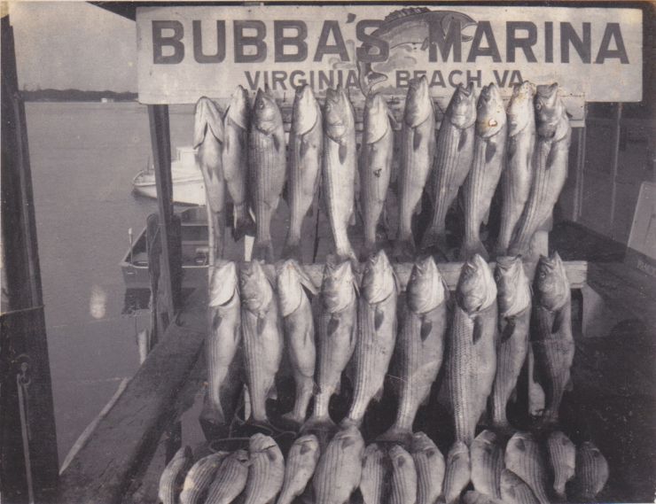 Our Story picture of boats in dock
